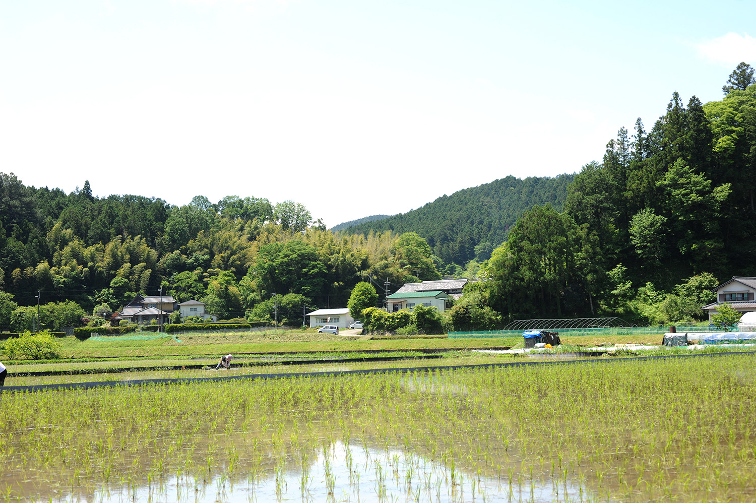 能勢の風景